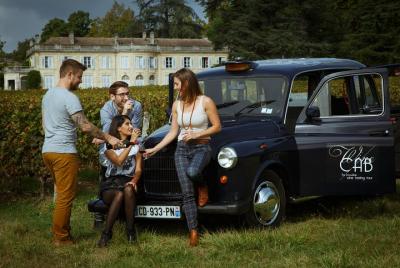 Excursión de un día a las visitas al castillo local de la región de Médoc con degustación de vinos desde Burdeos