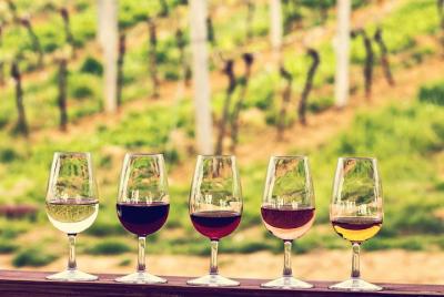 Tour privado de vino de medio día desde Burdeos