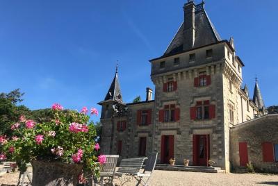 Tour privado de vino en Saint-Emilion
