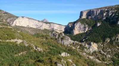 Excursión al campo de Provenza: excursión de un día desde Cannes (Grasse, St Paul de Vence)