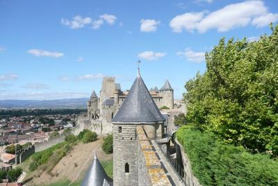 Excursión de un día: Cité de Carcassonne y cata de vinos. Tour privado desde Carcasona.