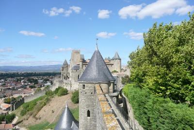 Día a la Cité de Carcassonne y cata de vinos. Tour compartido desde Carcasona