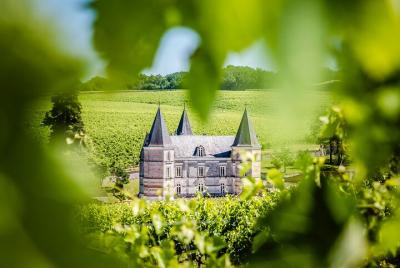 Visita VIP de 150 minutos a un viñedo en Segonzac con cóctel  Visita VIP de 150 minutos a un viñedo en Segonzac con cóctel