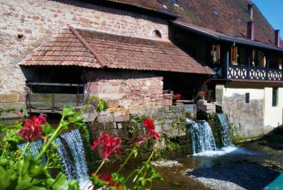 Safari-Tour Pays de Barr: 1 día