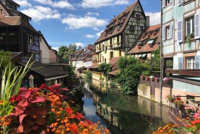 Descubre Alsacia y la ruta del vino con conductor privado de Colmar