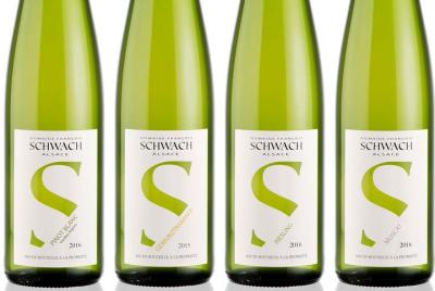 Introducción a los vinos de Alsacia