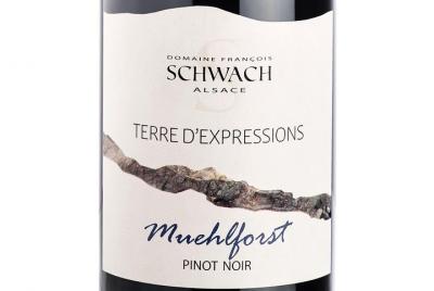 Conoce los grandes vinos de terroir