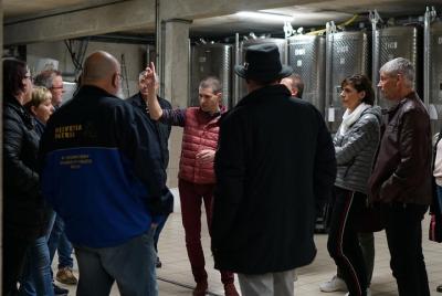 Tour exclusivo: en la piel del enólogo