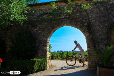 Tour guiado en bicicleta por la semana en Francia, región vinícola de Borgoña