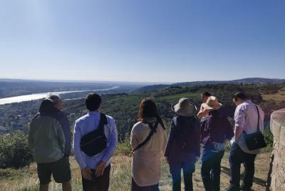 Excursión de medio día al vino del valle del Ródano norte desde Lyon Excursión de medio día al vino del valle del Ródano norte desde Lyon