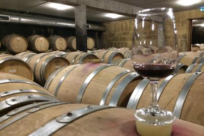 Tour del vino Cotes du Rhone - Día completo - Tour en grupo pequeño desde Lyon Tour del vino Cotes du Rhone - Día completo - Tour en grupo pequeño desde Lyon