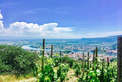 Excursión de un día al valle del Ródano norte con cata de vinos desde Lyon Excursión de un día al valle del Ródano norte con cata de vinos desde Lyon