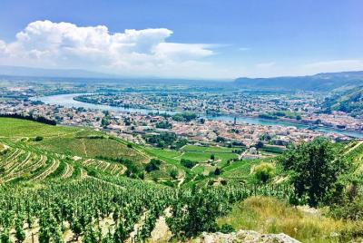 Excursión privada de un día personalizable al norte del valle del Ródano con degustación de vinos desde Lyon Excursión privada de un día personalizable al norte del valle del Ródano con degustación de vinos desde Lyon