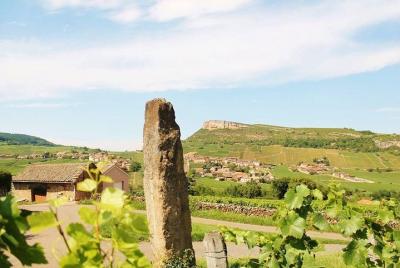 Excursión privada de un día a la región de Chardonnay del sur de Borgoña con cata de vinos desde Lyon Excursión privada de un día a la región de Chardonnay del sur de Borgoña con cata de vinos desde Lyon
