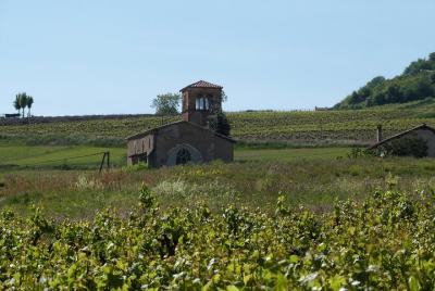 Tour Privado Beaujolais y Perouges Tour Privado Beaujolais y Perouges