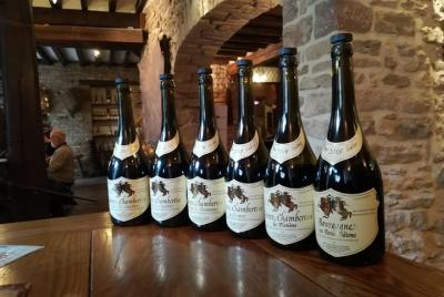 Excursión privada de un día a los viñedos de Beaune y Borgoña desde Lyon Excursión privada de un día a los viñedos de Beaune y Borgoña desde Lyon