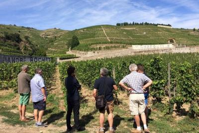 Tour del vino Cotes du Rhone - Tour privado - Día completo desde Lyon Tour del vino Cotes du Rhone - Tour privado - Día completo desde Lyon