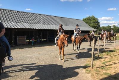 1/2 día de curso de ponis de 6 a 16 años 1/2 día de curso de ponis de 6 a 16 años