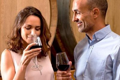 The Original Syrah Wine Tour - Tarde - Tour en grupos pequeños desde Lyon The Original Syrah Wine Tour - Tarde - Tour en grupos pequeños desde Lyon