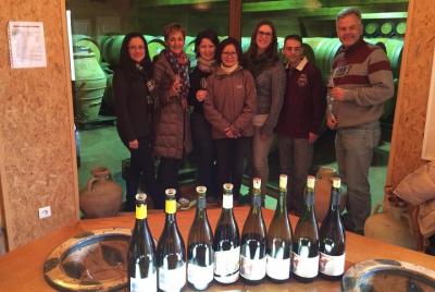 The Original Syrah Wine Tour - Mañana - Tours en grupos pequeños desde Lyon The Original Syrah Wine Tour - Mañana - Tours en grupos pequeños desde Lyon