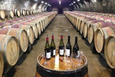 Recorrido por los vinos y castillos de Crus de Beaujolais por la tarde para grupos pequeños Recorrido por los vinos y castillos de Crus de Beaujolais por la tarde para grupos pequeños