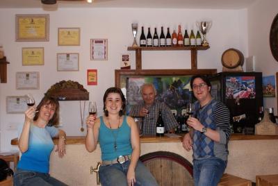Beaujolais Wine Discovery - Tour privado - Medio día Beaujolais Wine Discovery - Tour privado - Medio día