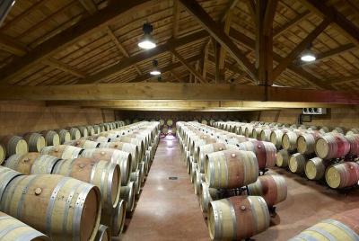 Viñedos de Cotes du Rhône - Excursión de Medio día - Tour privado desde Lyon Viñedos de Cotes du Rhône - Excursión de Medio día - Tour privado desde Lyon