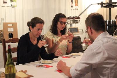 Dégustation Vins et Fromages au Domaine Dégustation Vins et Fromages au Domaine