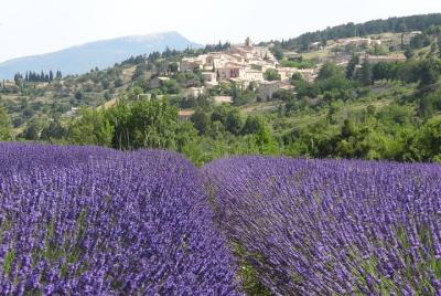 Lavender Tour Sault desde Marsella