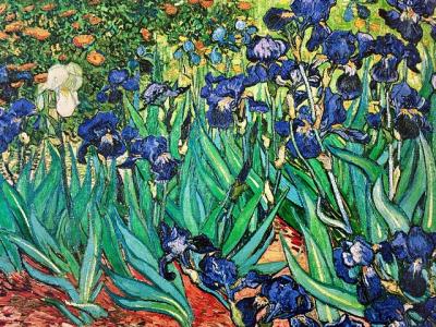 Excursión privada de medio día a Arles desde Marsella o Aix en Provence