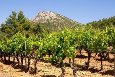 Excursión privada de un día a Aix en Provence y Cassis Excursión por la costa de Marsella Excursión privada de un día a Aix en Provence y Cassis Excursión por la costa de Marsella