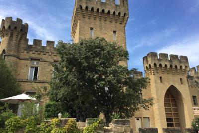 Excursión privada de un día a Aix-en-Provence, Aviñón y Chateauneuf-du-Pape desde Marsella