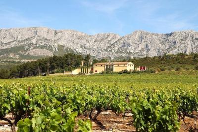 Excursión privada de medio día a Aix en Povence que incluye cata de vinos desde Marsella