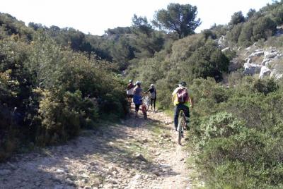 Alquiler de bicicletas