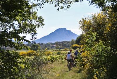 Visitas guiadas en bicicleta eléctrica con degustación en Pic Saint Loup