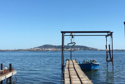 Recorrido por las especialidades regionales: vinos, ostras, quesos, aceitunas, galletas de SETE