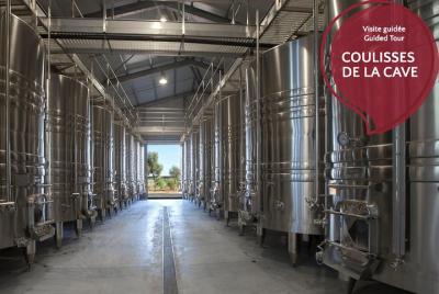 Detrás de las escenas de la bodega