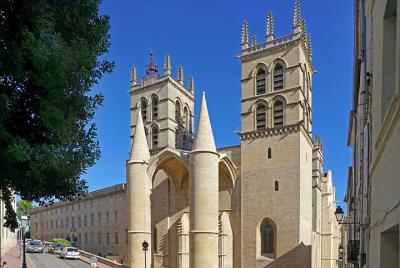Recorrido a pie privado de 2 horas por el centro histórico de Montpellier