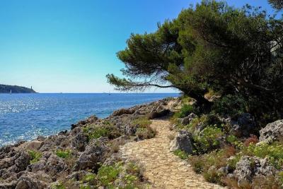 Paseo pintoresco de Niza a Villefranche sur Mer con picnic y baño Paseo pintoresco de Niza a Villefranche sur Mer con picnic y baño