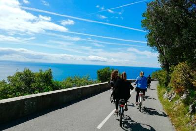Fantástica excursión en bicicleta eléctrica por la bahía de Villefranche y el cabo de los multimillonarios Fantástica excursión en bicicleta eléctrica por la bahía de Villefranche y el cabo de los multimillonarios