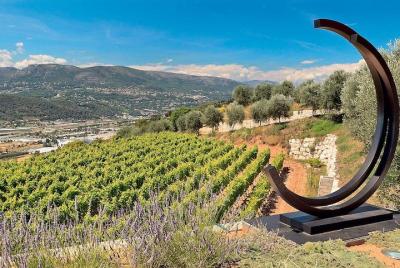 Tour de medio día en vino orgánico de Provenza para grupos pequeños con degustaciones desde Niza Tour de medio día en vino orgánico de Provenza para grupos pequeños con degustaciones desde Niza