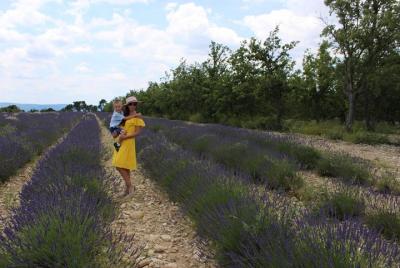 Degustación de vinos de campos de lavanda en Chateau de Berne Moustiers Grand Canyon Verdon Degustación de vinos de campos de lavanda en Chateau de Berne Moustiers Grand Canyon Verdon