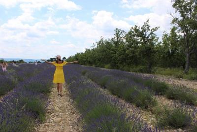 Degustación de vinos de campos de lavanda en Chateau de Berne Moustiers Grand Canyon Verdon Degustación de vinos de campos de lavanda en Chateau de Berne Moustiers Grand Canyon Verdon