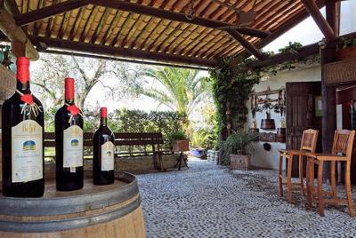 Tour privado de vinos orgánicos y degustación de comida de Provenza Tour privado de vinos orgánicos y degustación de comida de Provenza