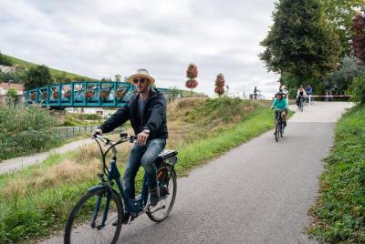 Reims: excursión de un día a Champagne con bicicleta eléctrica que incluye bodega familiar y almuerzo Reims: excursión de un día a Champagne con bicicleta eléctrica que incluye bodega familiar y almuerzo