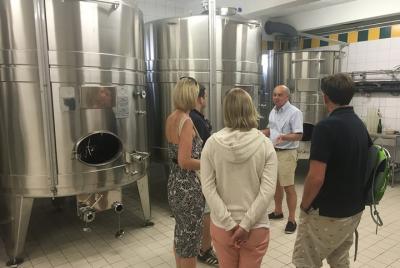 Tour privado de día completo con champán: 100% Grand Cru Pinot Noir Tour privado de día completo con champán: 100% Grand Cru Pinot Noir