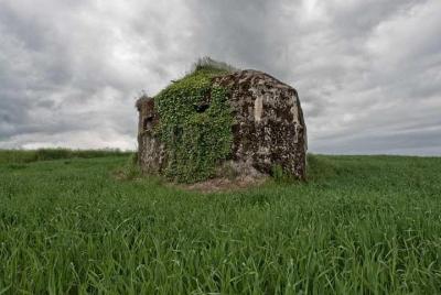 Gira de la Primera Guerra Mundial en el norte de Francia; el bosque de argonne Gira de la Primera Guerra Mundial en el norte de Francia; el bosque de argonne