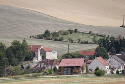 Excursión privada de 3 horas Premier Cru Village Double Vineyard Champagne Tour desde Reims en coche Excursión privada de 3 horas Premier Cru Village Double Vineyard Champagne Tour desde Reims en coche