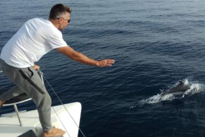 Marbella.Sunset 2H en catamarán en grupo reducido con avistamiento de delfines Marbella.Sunset 2H en catamarán en grupo reducido con avistamiento de delfines