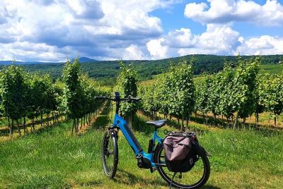 VinoBike: alquiler de bicicletas eléctricas con itinerarios en el viñedo junto a Estrasburgo VinoBike: alquiler de bicicletas eléctricas con itinerarios en el viñedo junto a Estrasburgo